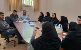 جلسه هم اندیشی اساتید و همکاران مؤسسه آموزش عالی سلامت در زمینه برنامه های عملیاتی شورای توسعه آموزش علوم پزشکی