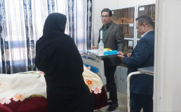 حضور اعضای کمیته پایش بازرسی دانشگاه در مؤسسه آموزش عالی سلامت