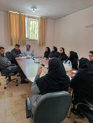 جلسه هم اندیشی اساتید و همکاران مؤسسه آموزش عالی سلامت در زمینه برنامه های عملیاتی شورای توسعه آموزش علوم پزشکی