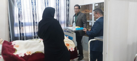 حضور اعضای کمیته پایش بازرسی دانشگاه در مؤسسه آموزش عالی سلامت